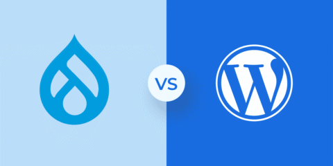 Drupal vs WordPress – Key Differences & Comparison Guide 