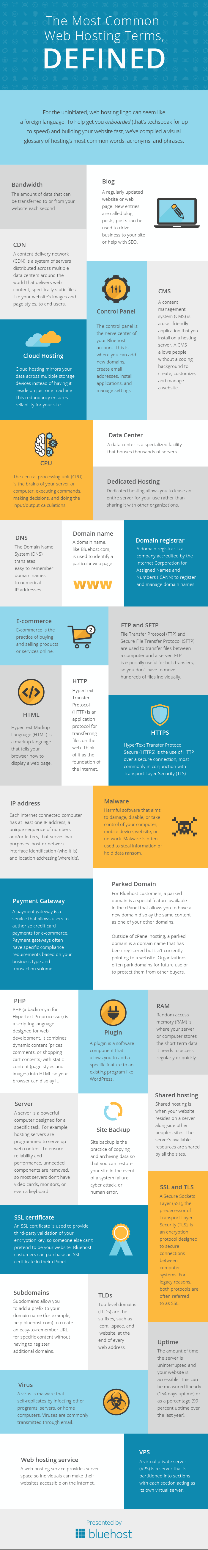 The Most Common Hosting Terms Infographic