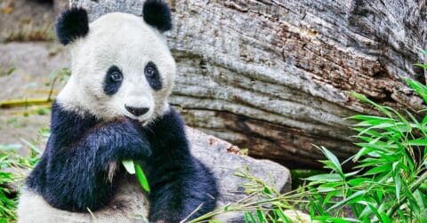 5 Common Typos that Are Biting Your Brand