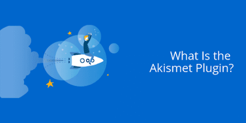 What Is the Akismet Plugin?