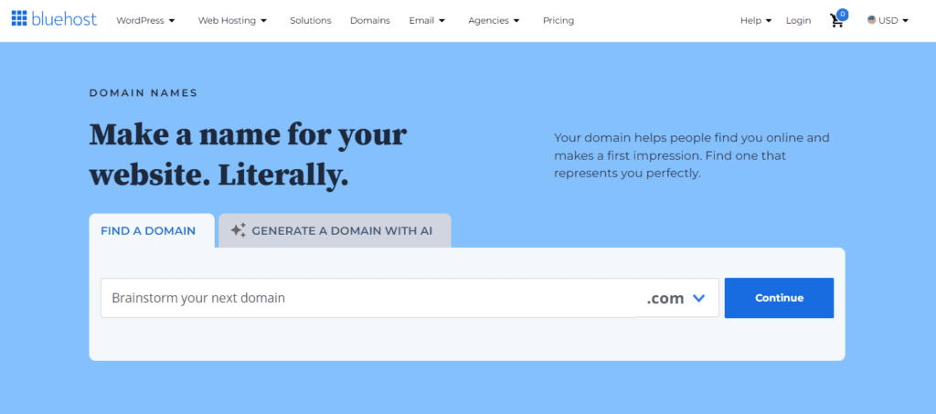 Bluehost domain name