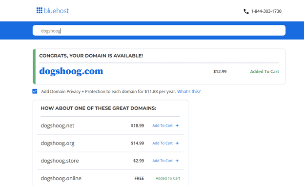 domain name search 