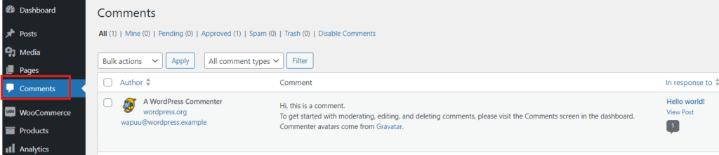 Comment view in WordPress